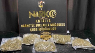 Antalyada uyuşturucu operasyonlarında 1 haftada 118 şüpheli yakalandı, 12si tutuklandı