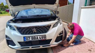 Aracın motoruna giren yavru kedileri telefondan kedi sesi açarak çıkarmaya çalıştılar