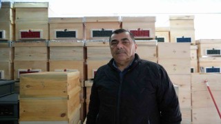 Arı ölümleri korkutuyor