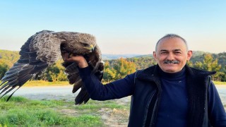 Arnavutköyde ormanda ot toplayan vatandaş yaralı Kaya Kartalı buldu