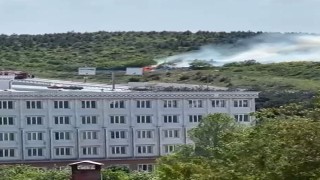 Arnavutköyde ormanlık alanda yangın