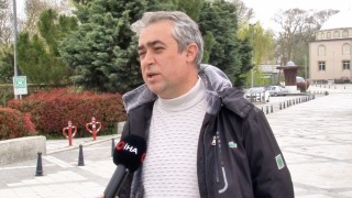 Arnavutköyde zehirli tırtıl konvoyu kamerada