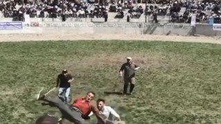 Artvinde 500 kilogramlık boğa bakıcısını hastanelik etti