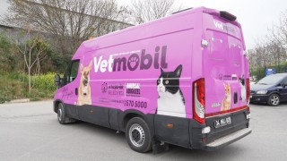 Ataşehir Belediyesi, yeni hayvan ambulansı Vetmobili hizmete sunuyor