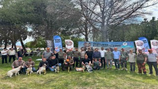Av köpekleri Salihlide yarıştı