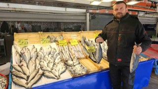 Av yasağı başlıyor ama balık tezgâhları boş kalmayacak