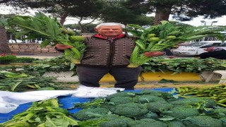 Aydında enginar sezonu açıldı, tezgahlar yeşile büründü