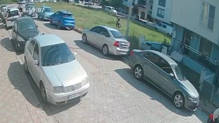 Aydında sınava giden öğrenciye köpek saldırdı