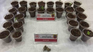 Bagajdan bardak bardak kenevir çıktı: Uyuşturucuyla yakalanan şüpheli tutuklandı