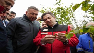 Bakan Yardımcısı Bağcı: Cumhuriyet tarihinin en büyük zirai don hadisesi