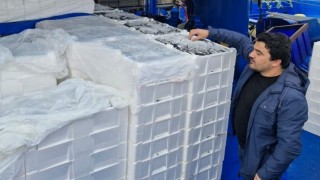 Balık sezonunda İneboludan 2 milyon 965 bin ton balık karaya çıkartıldı