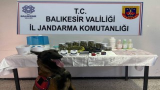 Balıkesirde jandarmadan kaçakçılık ve uyuşturucuya darbe: 81 şüpheliye işlem yapıldı