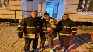 Balkonda mahsur kalan kediyi itfaiye kurtardı