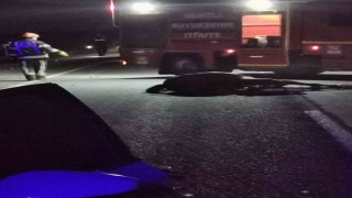 Başıboş ata çarpan otomobil takla atarak hurdaya döndü: 1 ölü 1 yaralı