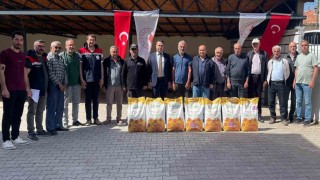 Beyşehirde ayçiçeği ekimi ile tarlalar sarıya boyanacak