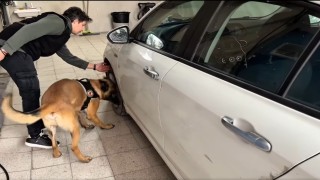 Bilecikte uyuşturucu operasyonu: 3 tutuklama