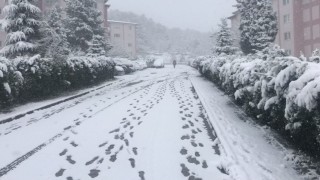 Bilecikteki kar bazı köy yollarını ulaşıma kapattı