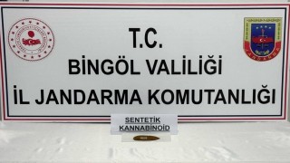 Bingölde bonzai ele geçirildi: 4 gözaltı