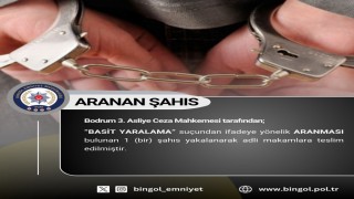 Bingölde çeşitli suçlardan aranan 11 kişi yakalandı
