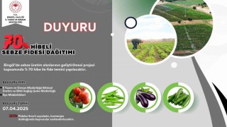 Bingölde çiftçilere yüzde 70 hibe destekli sebze fidesi dağıtılacak