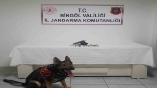 Bingölde ruhsatsız silah ele geçirildi