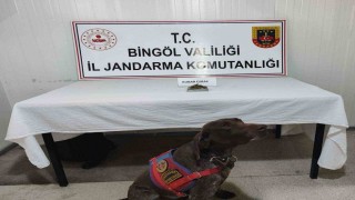 Bingölde uyuşturucu madde ve tüfek ele geçirildi
