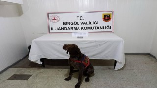 Bingölde uyuşturucuyla mücadele: 2 gözaltı