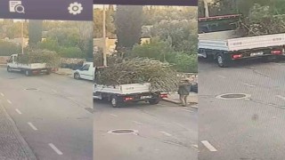 Bodrum Belediyesinden çevreyi kirletenlere cezai işlem