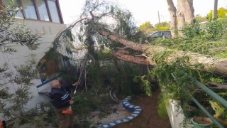 Bodrumda fırtına ve sağanak etkili oluyor