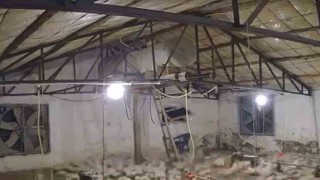 Boluda kümese girmeye çalışan ayı kamerada