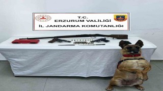 Bomba arama köpeği Yazı yine yakaladı