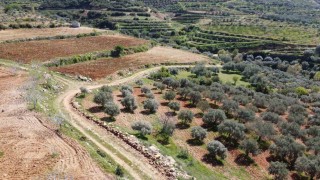 Bozdoğanda arazi yolları bakıma alındı