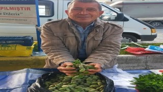 Çağla, Aydındaki tezgahlarda yerini aldı: Kilosu 250 lira