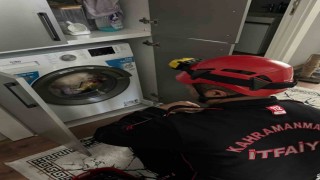 Çamaşır makinesindeki kedi kurtarıldı