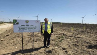 Çanakkalede 100 bin fidanlık ‘Enerji ormanı