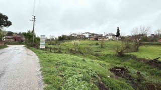 Çanakkalede şap karantinası
