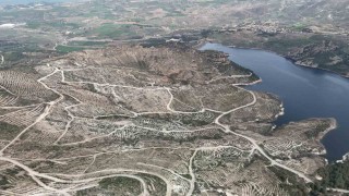 Çanakkalede yanan ormanlar yangına dayanıklı fidanlarla yeniden yeşerdi