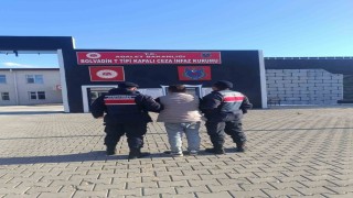 Çeşitli suçlardan aranan şahsı jandarma yakaladı