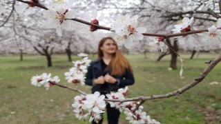 Çiçek açan ağaçların görselliği mest etti