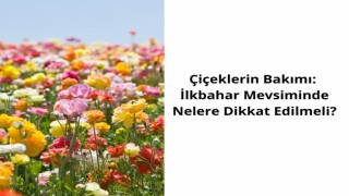 Çiçeklerin Bakımı: İlkbahar Mevsiminde Nelere Dikkat Edilmeli?