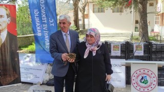 Çiftçilere 140 bin adet çilek fidesi dağıtıldı