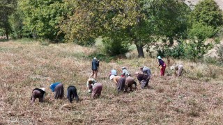 Çiftçilere destek ödemesi bugün yapılacak