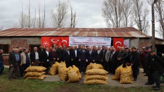 Çiftçilere hibe patates tohumu desteği