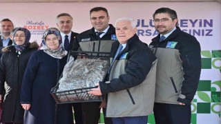 Çiftçiye 1 milyon 222 bin çilek fidesi hibe edildi