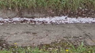 Çorumda ceviz büyüklüğünde dolu yağdı