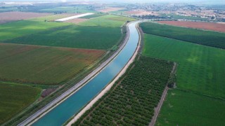 Çukurovada yağan yağmurlar tarım ürünlerine can suyu oldu