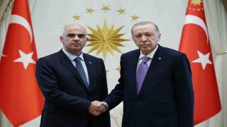 Cumhurbaşkanı Erdoğan, Avrupa Konseyi Genel Sekreteri Alain Berseti kabul etti