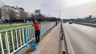 D-100de estetik çalışma