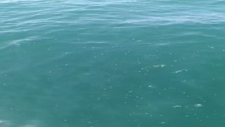 Depreme denizde yakalandılar: Marmara açıklarında bir gürültü koptu, tekne sallandı