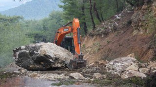 Dev kaya yola düştü, tarım alanları zarar gördü